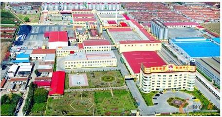 電商B2C釋放魯花新活力