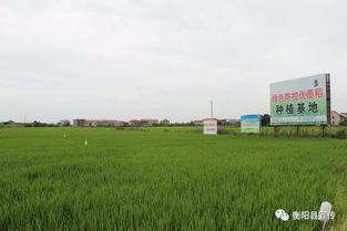 這個(gè)企業(yè)不簡(jiǎn)單 推動(dòng)設(shè)立30萬創(chuàng)新獎(jiǎng)勵(lì)基金,力爭(zhēng)年銷售收入突破6億